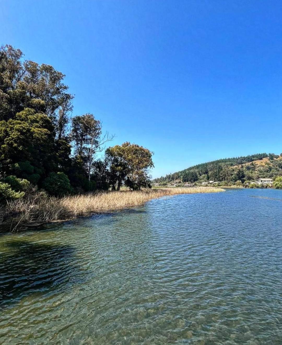 La Cabanita *